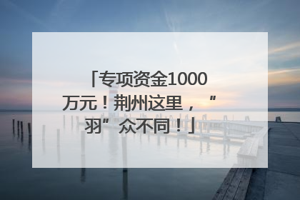 专项资金1000万元！荆州这里，“羽”众不同！